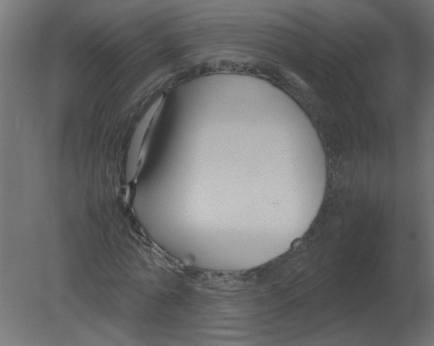 X0000080750774200701122002