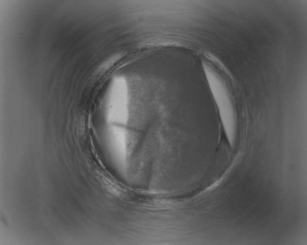 X0000080750777200701122002
