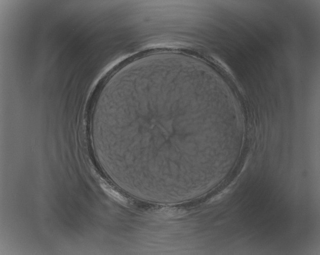 X0000080750779200701122002