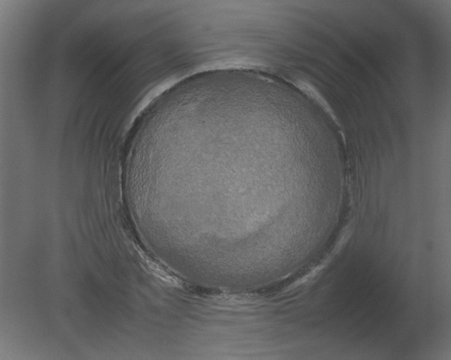 X0000080750781200701122002