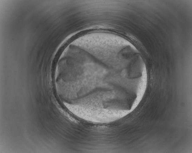 X0000080750784200701122002