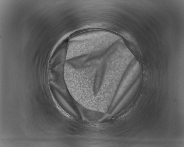 X0000080750792200701122002