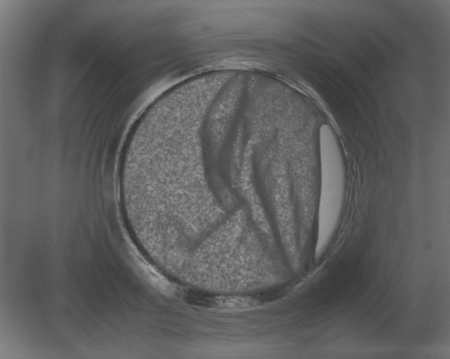 X0000080750795200701122002