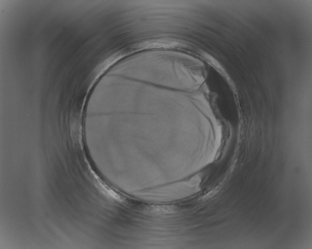 X0000080750802200701122001