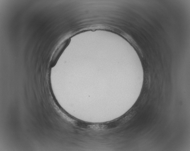 X0000080750805200701122001