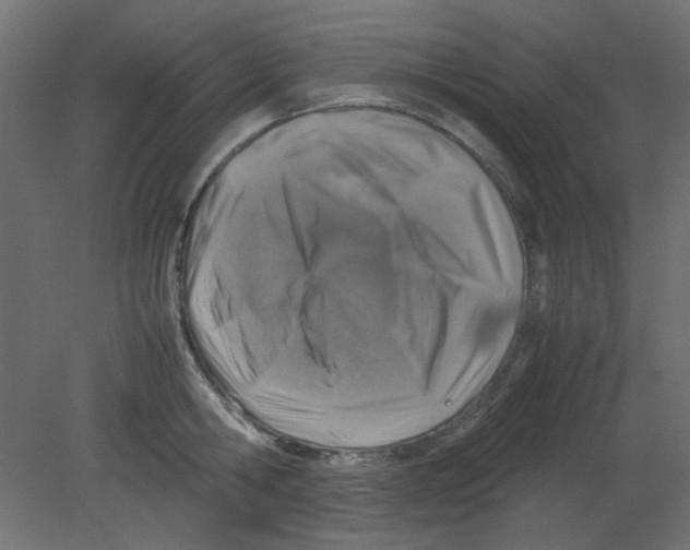 X0000080750806200701122001