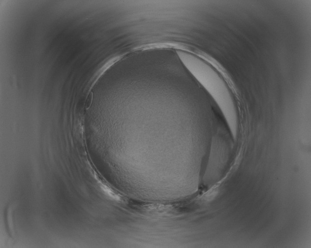 X0000080750809200701122001
