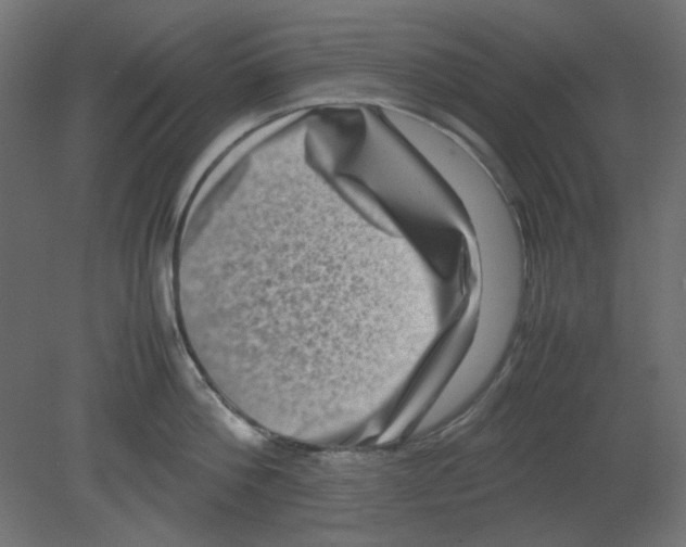 X0000080750812200701122001
