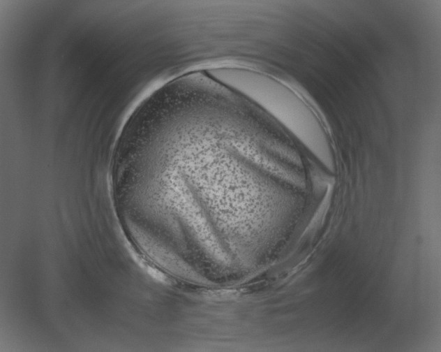 X0000080750813200701122001