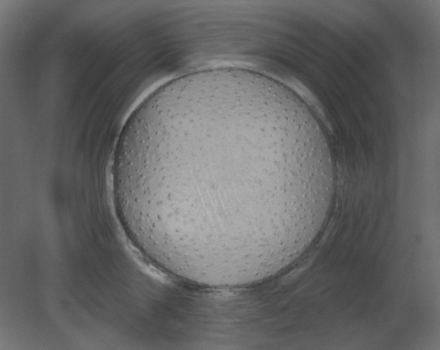 X0000080750814200701122001