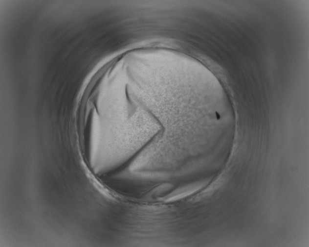 X0000080750816200701122001