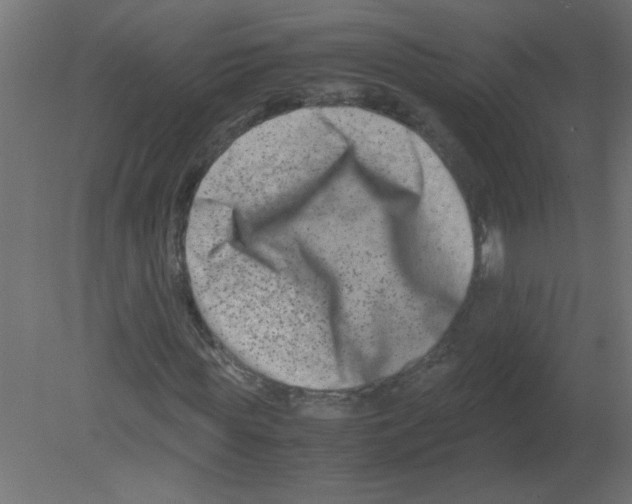 X0000080750819200701122000