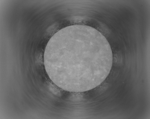 X0000080750820200701122000
