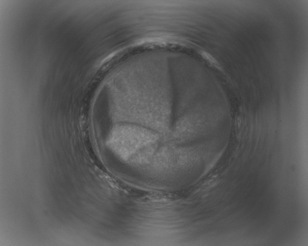 X0000080750822200701122001