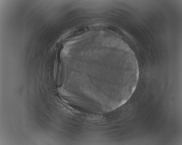 X0000080750823200701122001