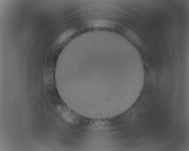 X0000080750824200701122001