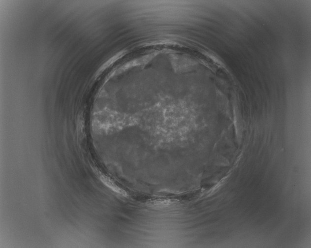 X0000080750826200701122001