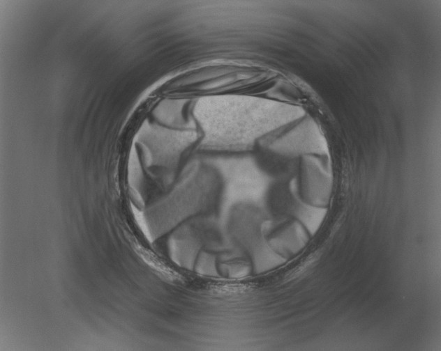 X0000080750830200701122001