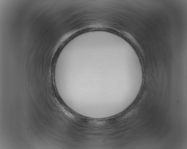 X0000080750831200701122001