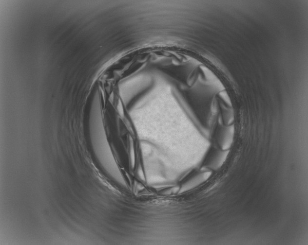X0000080750834200701122001