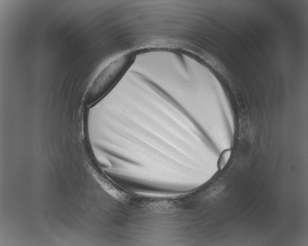 X0000080750838200701122001