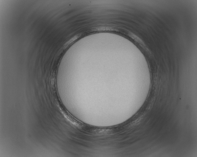 X0000080750841200701122001