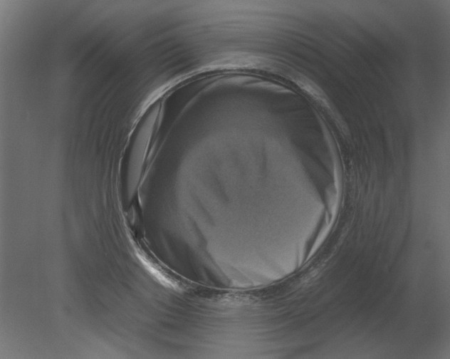 X0000080750842200701122001