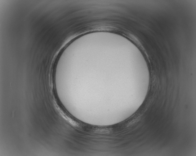 X0000080750843200701122001