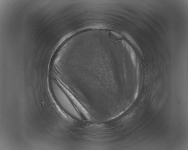 X0000080750845200701122001