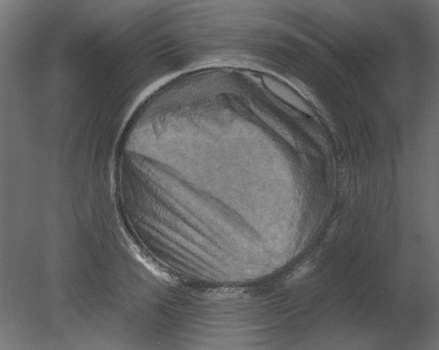 X0000080750846200701122001
