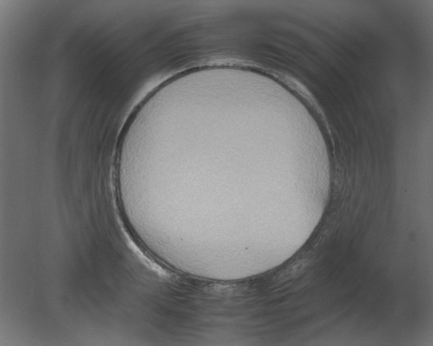 X0000080750847200701122001