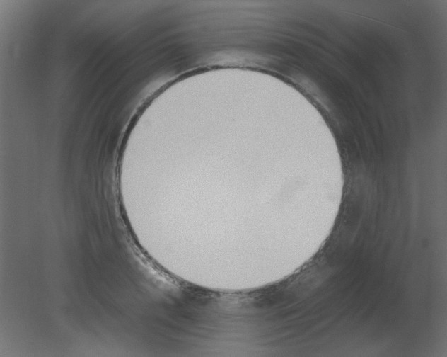 X0000080750848200701122001
