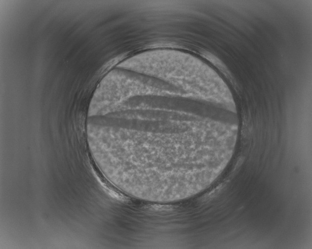 X0000080750849200701122001
