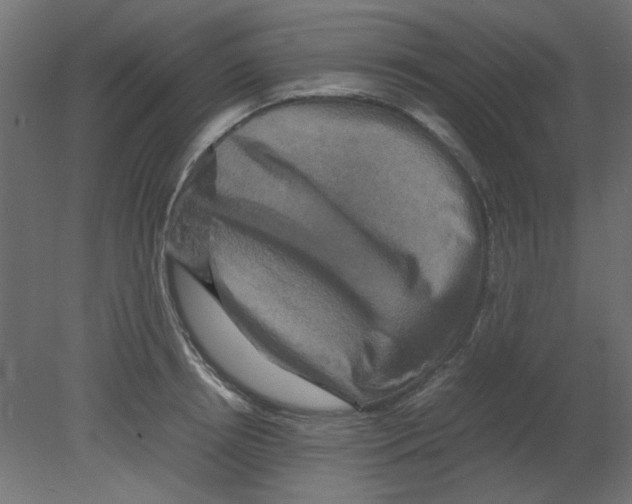 X0000080750850200701122001