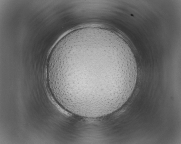 X0000080750852200701122001