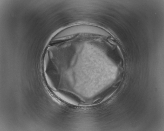 X0000080750854200701122001