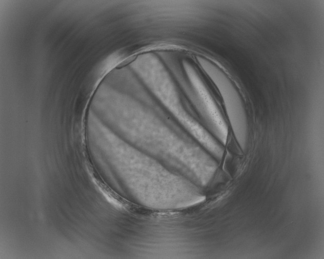 X0000080750858200701122001