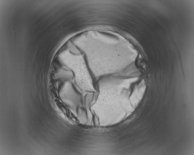 X0000080750860200701122001