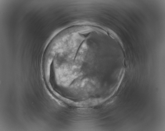 X0000080750863200701122001
