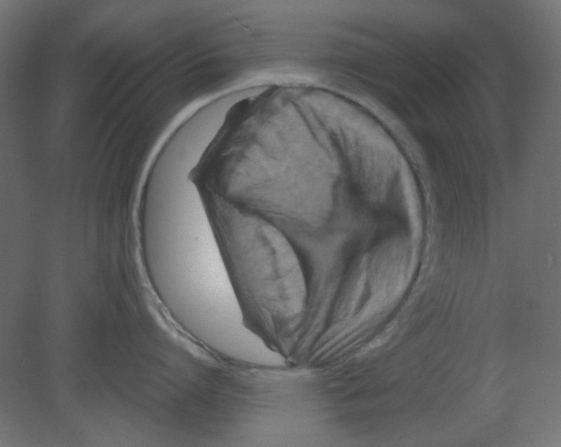 X0000080750864200701122001