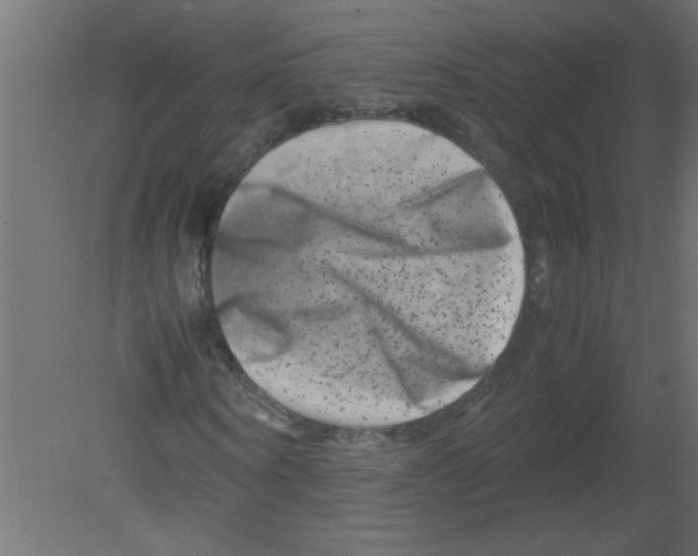 X0000080750866200701122000