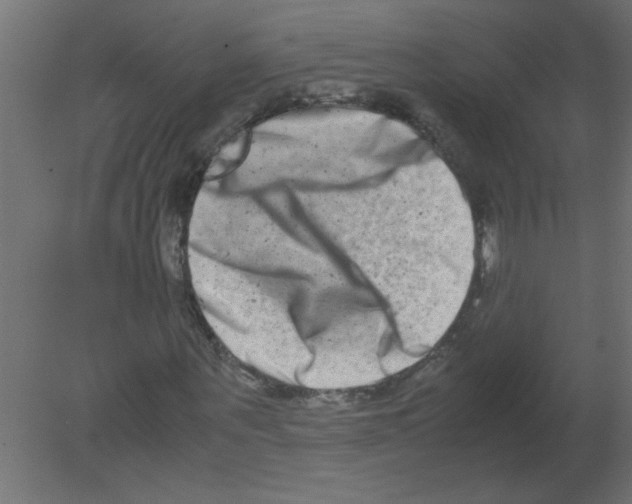 X0000080750867200701122000