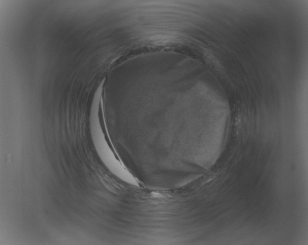 X0000080750868200701122000