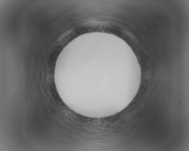 X0000080750869200701122000