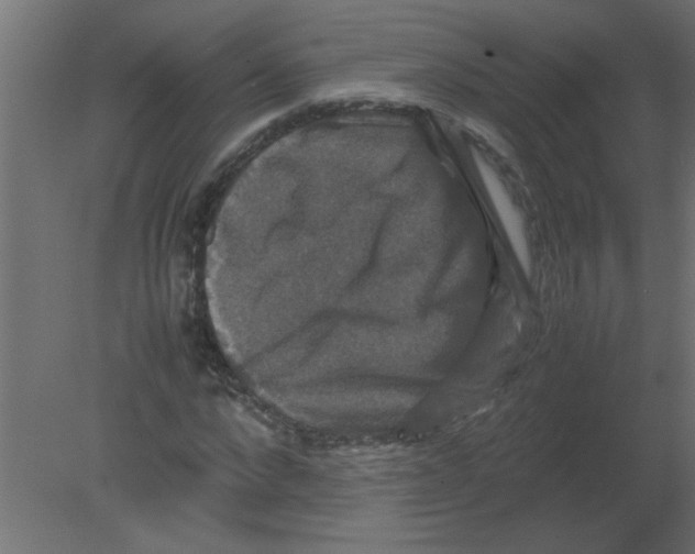 X0000080750872200701122000