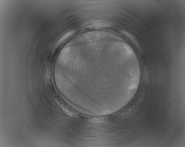 X0000080750874200701122000