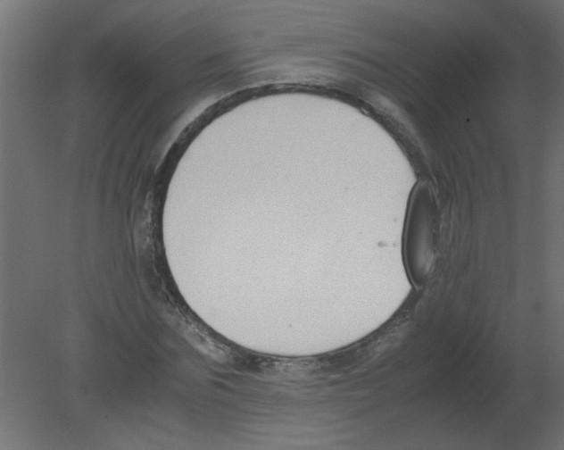 X0000080750875200701122000
