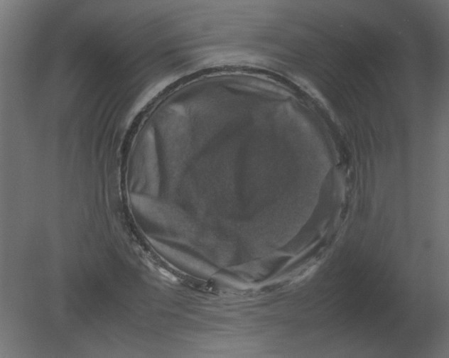 X0000080750877200701122000