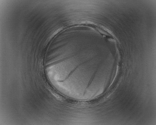 X0000080750881200701122000