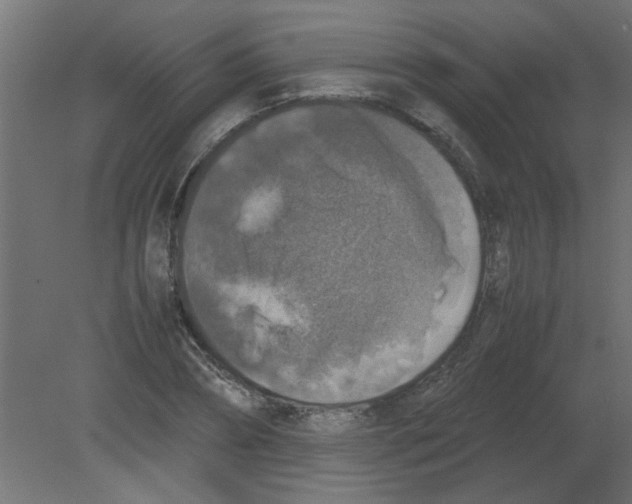 X0000080750882200701122000